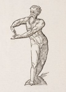 Nigrita labio inferiori pendulo
