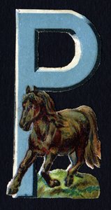P like Pony. Beetle decoupis on the theme of animals. Engraving. Series of 26 waffle chromolithographs of English origin. End of the 19th century by Unbekannt