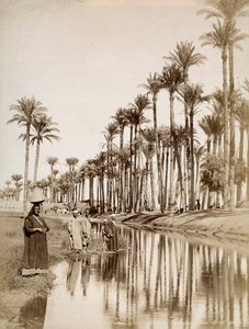 Palm Trees Along the River Nile. In the Foreground Men in Traditional Costume by Unbekannter Künstler