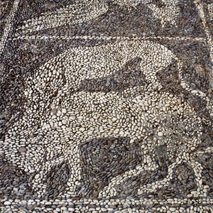 Panther attacking a bull by Unbekannt