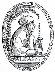 Paracelsus by Unbekannt