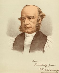 Portrait of William Magee by Unbekannter Künstler