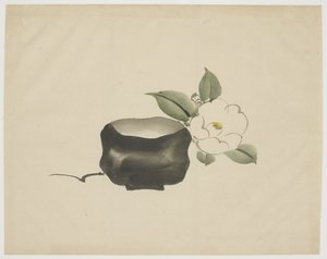 Raku Tea Bowl and White Camellia by Unbekannt