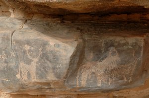 Rock art, Prehistory: Engraving of three cattle in the Uweinat massif, Sudan by Unbekannt