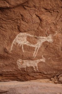Rock art, Prehistory: Rock painting of two cows with large horns in an ornate shelter, in the Uweinat massif, Sudan (Period from 8000 to 3000 years BC). Photography