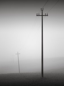 Solidarity, Tuscany, Italy, 2015