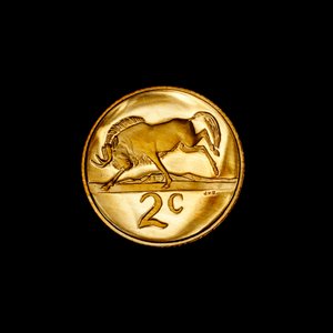 South African 2 Cent Coin