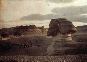 Sphinx by Unbekannter Künstler