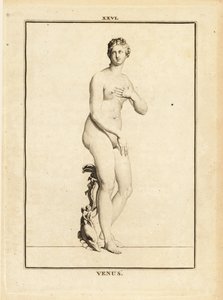 Statue of Venus, Roman Goddess of Love, Beauty, Sex and Fertility by Unbekannt