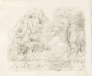 Tamworth - Rural View: ink drawing, nd [19th cent] by Unbekannt