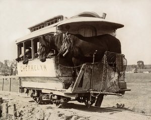The Cherrelyn Horse Car, Denver, Colorado by Nicolas Liez