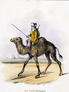 The Swift Messenger, c 1845