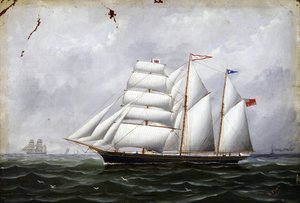 The boat 