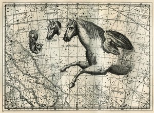 The Constellation of Pegasus, Drawn Like the Anterior Half of a Horse with a Pair of Wings, the Little Horse, a Horse