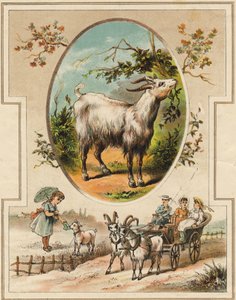 The goat. Engraving in "Mon premier Grand Alphabet". Bernardin-Bechet Edition, Paris, circa 1890 by Unbekannt