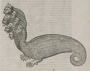 The Hydra by Unbekannt