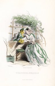 The tuber fairy and an elf daffodil are courted on a garden bench, next to a wall - Etching by Charles Geoffroy, based on an illustration by Jean Ignace Isidore Gerard for Les fleurs animees