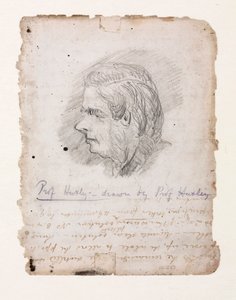 Thomas Henry Huxley, English biologist, mid-late 19th century