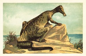 Trachodon Mirabilis by Unbekannter Künstler