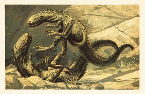 Two Battling Dryptosaurus aquilunguis (lithograph) by Unbekannter Künstler