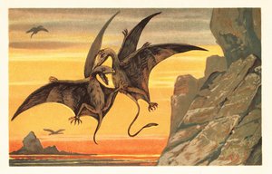 Two Pterodactyls Fighting in Mid Flight Against a Crimson Sky by Unbekannter Künstler