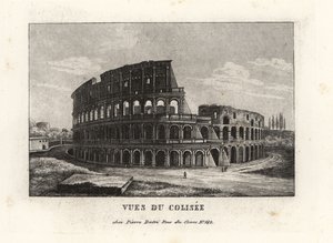 View of the ruins of the Colosseum, Rome