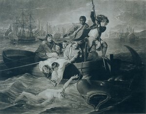 Watson and the Shark