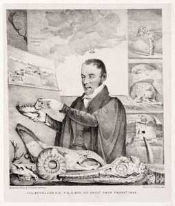 William Buckland