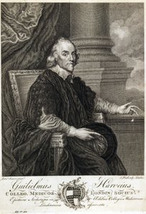 William Harvey, English Physician by Unbekannt