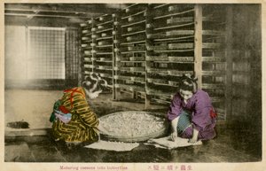 Women Maturing Silk Worm Cocoons by Unbekannter Künstler