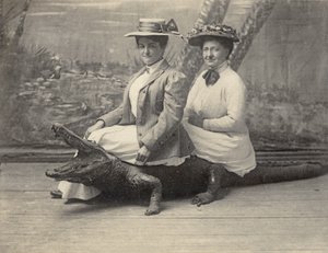 Women sitting on a stuffed alligator, c.1905 by Unbekannter Künstler