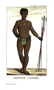 Young San Man, with Spears, South Africa. From Francois Le Vaillant by Unbekannter Künstler