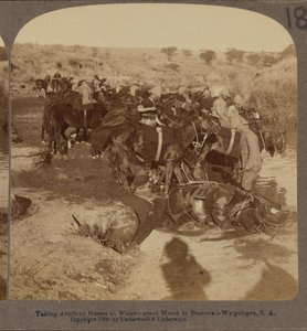 Watering Artillery horses, Welgelegen, South Africa by Underwood and Underwood