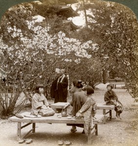 A Family Enjoying a Picnic under the Cherry Blossoms, Omuro Gosho, Kyoto, Japan by Underwood and Underwood