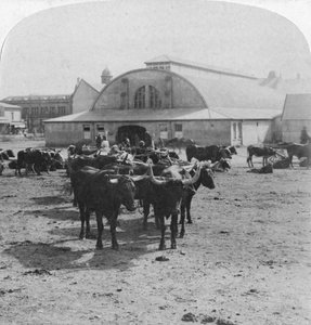 Building in Which Prisoners of War Were Tried, Pretoria, South Africa, Boer War by Underwood and Underwood