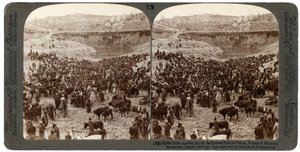 Cattle Market Day in the Lower Pool of Gihon, Valley of Hinnom, Jerusalem, Palestine by Underwood and Underwood