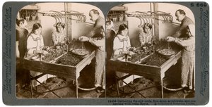 Manufacturing Silk, Syria by Underwood and Underwood