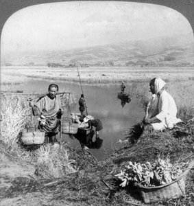 Men Gathering Rushes Near Suzukawa, Fujiyama, Japan by Underwood and Underwood