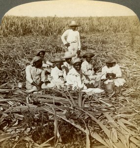 On La Union Sugar Plantation, San Luis, Santiago Province, Cuba by Underwood and Underwood