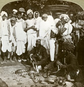 Snake Charmer, Calcutta, India