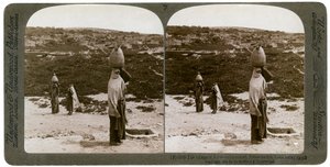 The Village of Imwas Emmaus, Palestine by Underwood and Underwood