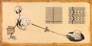 Cotton Weaving