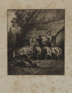 Woman Feeding Hogs