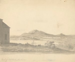 Back of East Rock, New Haven by Unknown