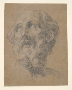 Head of a Man by Unknown