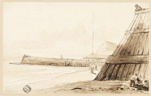 Stockade along Shore