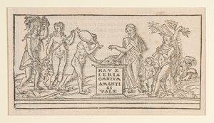 Page from Copy after Francesco Colonna by Unknown