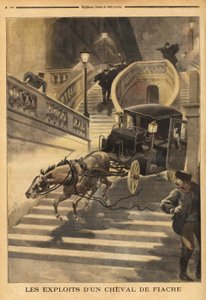 A carriage horse, abandoned by its coachman, engages in the stairs of Rue d