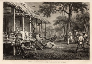 A python entered the space of the traveler and narrator, while all present people set themselves apart to protect themselves, the snake is expelled by one of the servants who, after failing with the lasso, grabbed him by the tail. Engraving to illustrate t