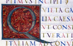Alphabet: miniaturized letter Q